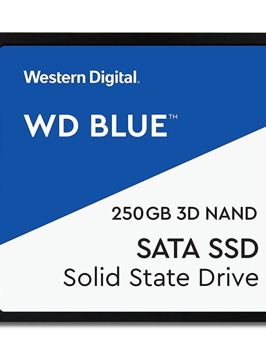 Western Digital WD Blue 6.35 cm (2.5 Inch) SATA SSD, 550MB/s R, 525MB/s W, 5 Y Warranty, 250GB